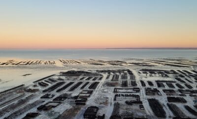 Que faire à Cancale ?